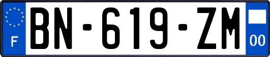 BN-619-ZM