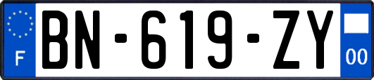 BN-619-ZY