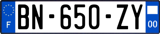 BN-650-ZY