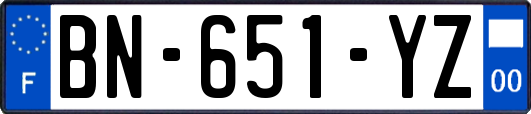 BN-651-YZ