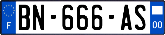 BN-666-AS