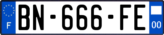 BN-666-FE
