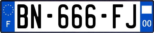 BN-666-FJ