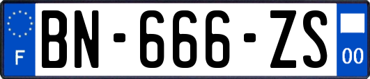 BN-666-ZS