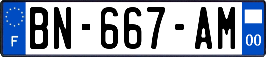 BN-667-AM