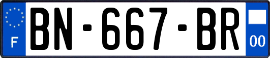 BN-667-BR