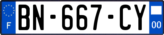 BN-667-CY