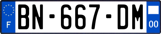 BN-667-DM