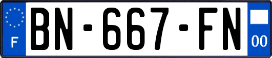 BN-667-FN