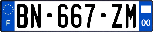 BN-667-ZM