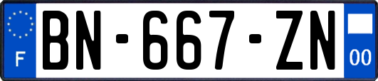 BN-667-ZN