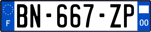 BN-667-ZP