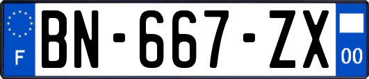 BN-667-ZX