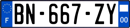 BN-667-ZY