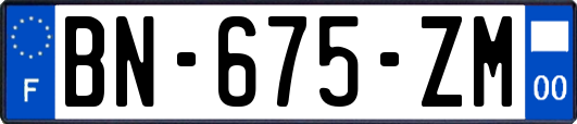 BN-675-ZM