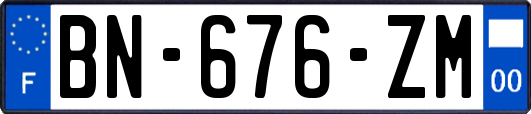 BN-676-ZM