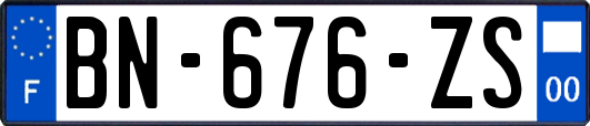 BN-676-ZS