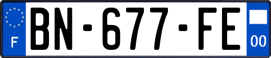 BN-677-FE