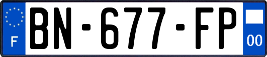 BN-677-FP
