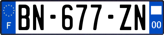 BN-677-ZN