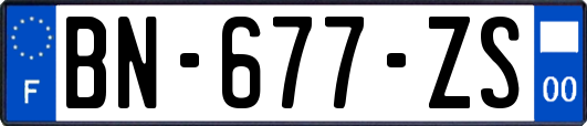 BN-677-ZS