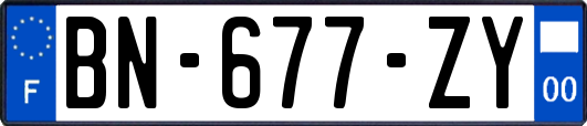 BN-677-ZY