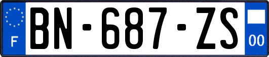 BN-687-ZS