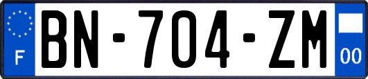 BN-704-ZM