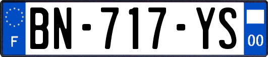 BN-717-YS