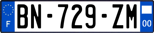 BN-729-ZM