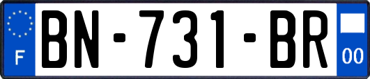 BN-731-BR