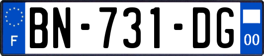 BN-731-DG