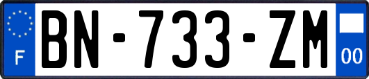 BN-733-ZM