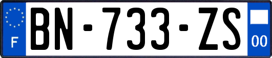 BN-733-ZS