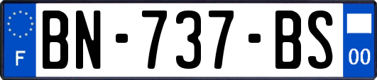 BN-737-BS