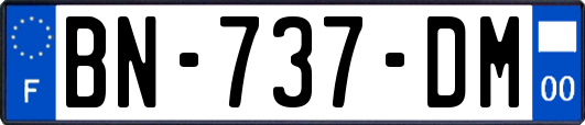 BN-737-DM