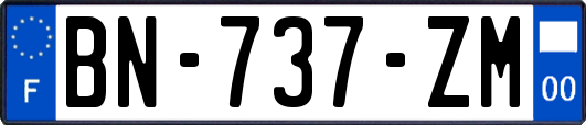 BN-737-ZM