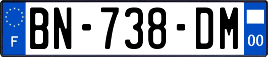 BN-738-DM