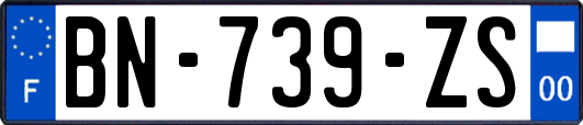 BN-739-ZS