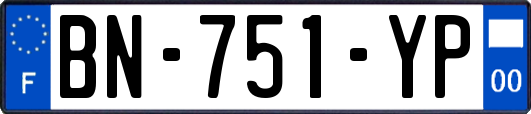 BN-751-YP