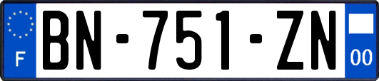 BN-751-ZN