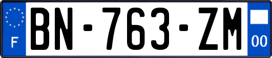 BN-763-ZM