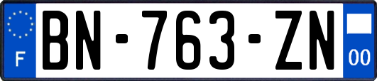 BN-763-ZN