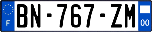 BN-767-ZM