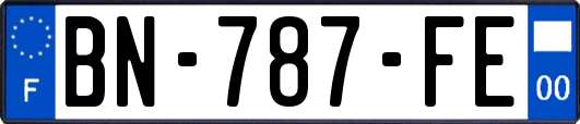 BN-787-FE