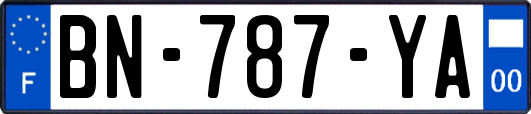BN-787-YA
