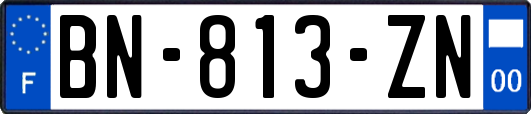 BN-813-ZN