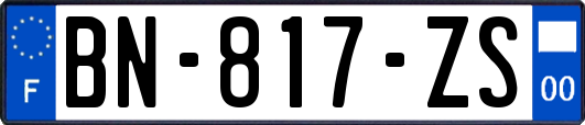 BN-817-ZS