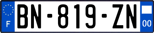 BN-819-ZN