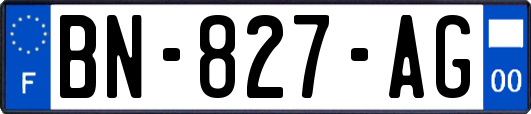 BN-827-AG